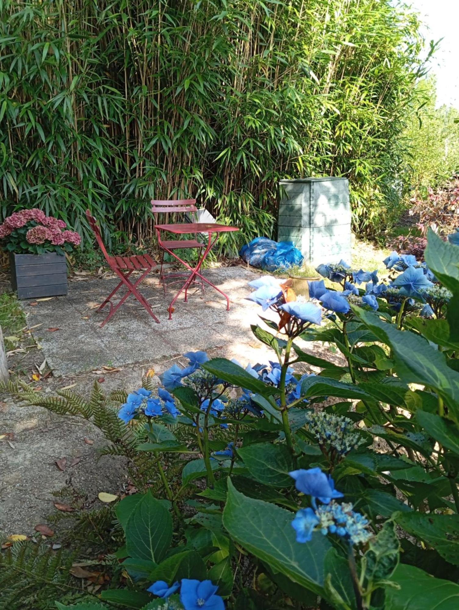 Ker Adsav Bed and Breakfast Saint-Pierre-de-Plesguen Eksteriør billede
