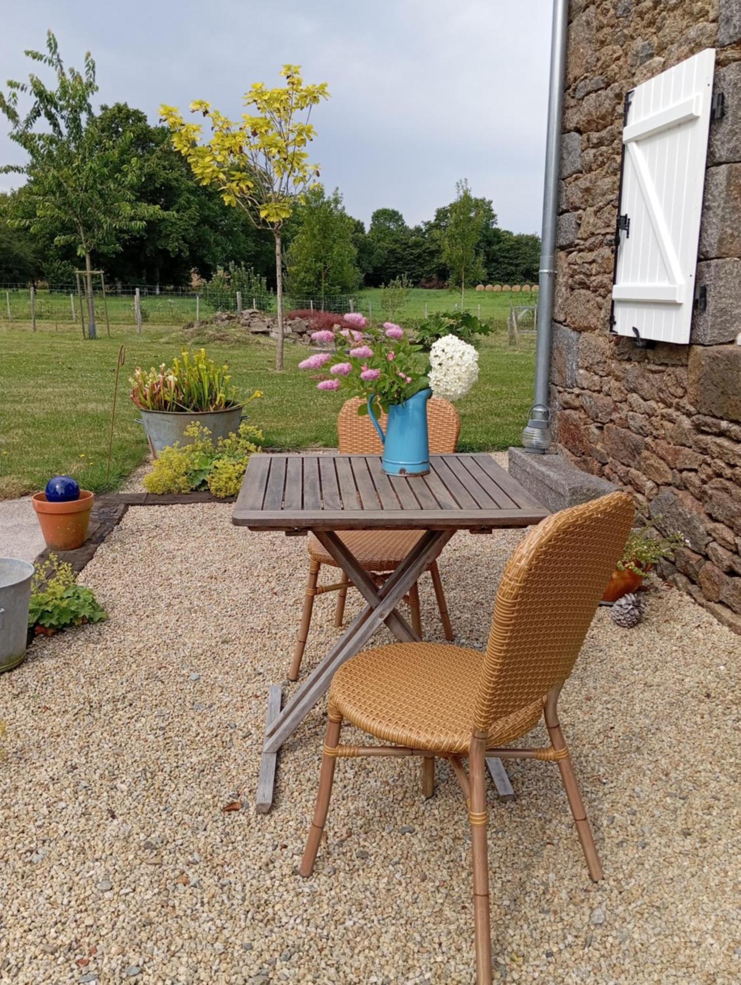 Ker Adsav Bed and Breakfast Saint-Pierre-de-Plesguen Eksteriør billede